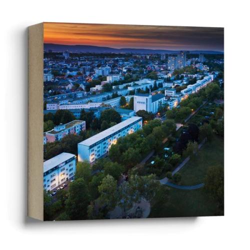 Artikelbild des Artikels “Quadrat Frankfurter Bubb - Bornheimer Hang “