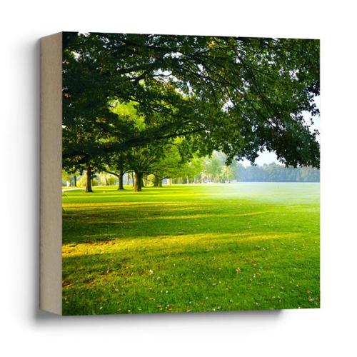 Artikelbild des Artikels “Quadrat Frankfurter Bubb - Ostpark grün “