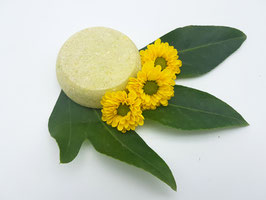 Artikelbild des Artikels “Shampoo Bar Aloe Vera “