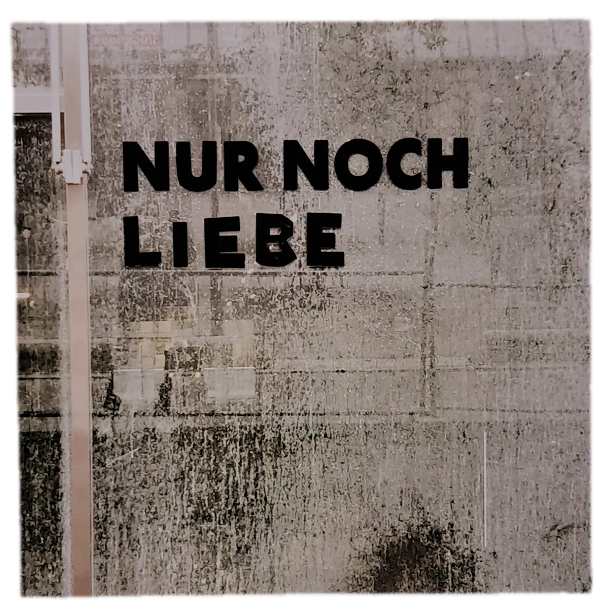 Artikelbild 1 des Artikels “Quadrat Nur noch Liebe “