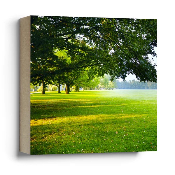 Artikelbild 1 des Artikels “Quadrat Frankfurter Bubb - Ostpark grün “