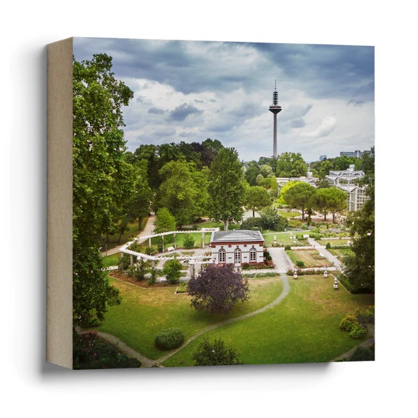 Artikelbild 1 des Artikels “Quadrat Frankfurter Bubb - Rosengarten “